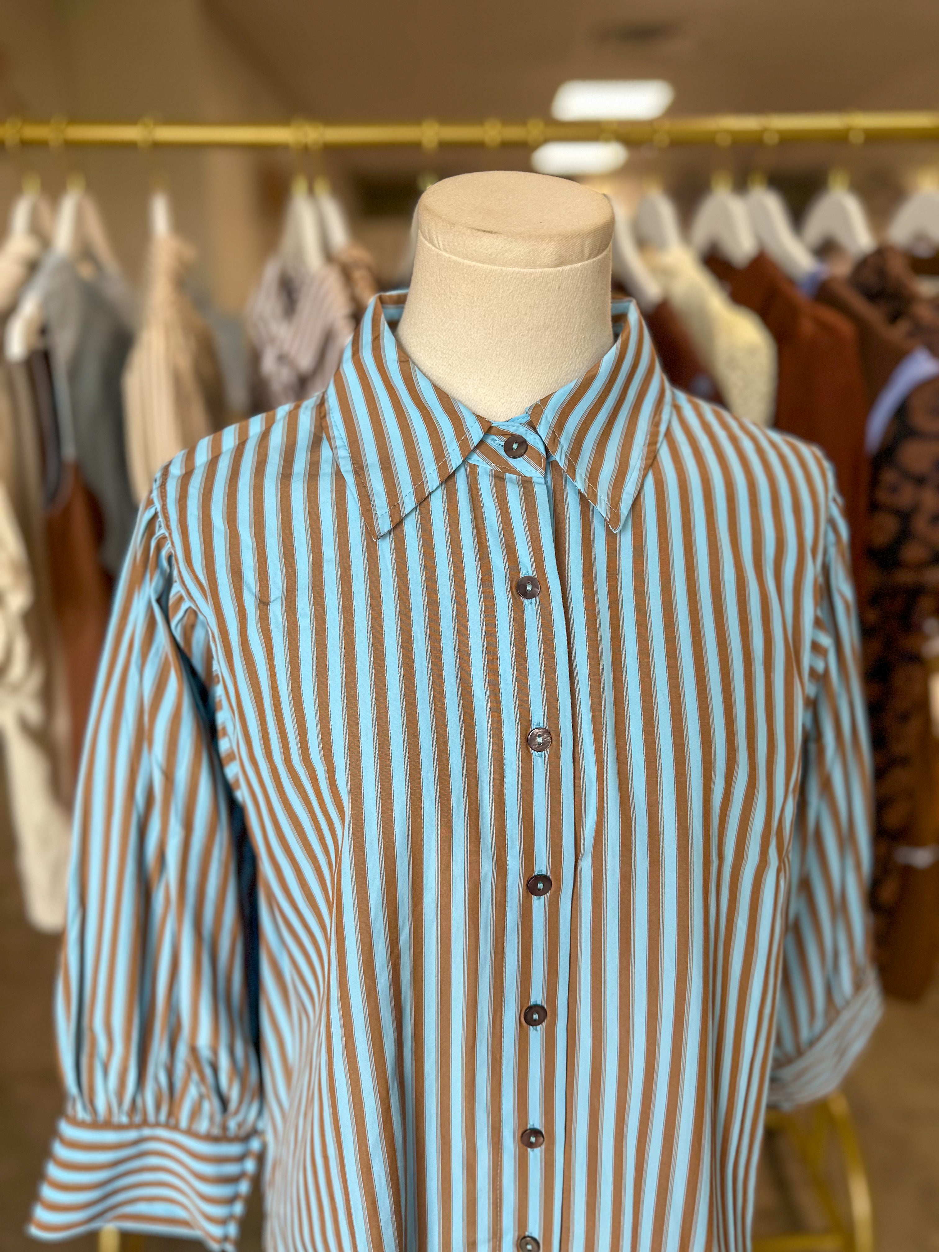 Blue & Camel Harvest House Striped Button Down Top